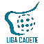 Liga Cadete Temporada 2026-2027 Cadete Mixta